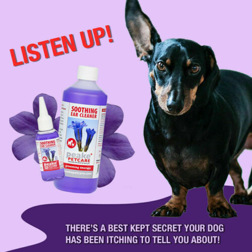 Quistel, Natural & Organic Pet Grooming Therapies For Dogs, Cats