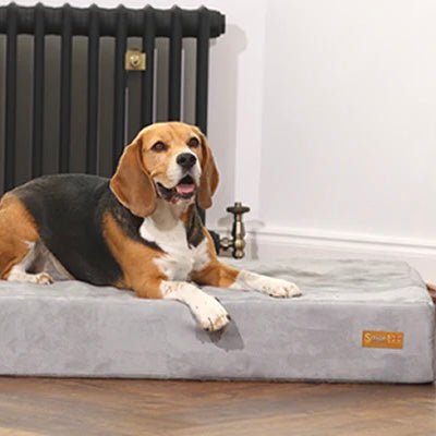 Win a Smart Pet Bed For your dog or cat!