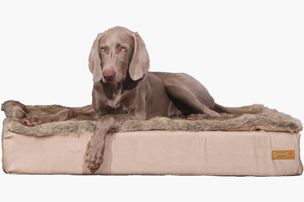 Fur Covers - Smart pet beds